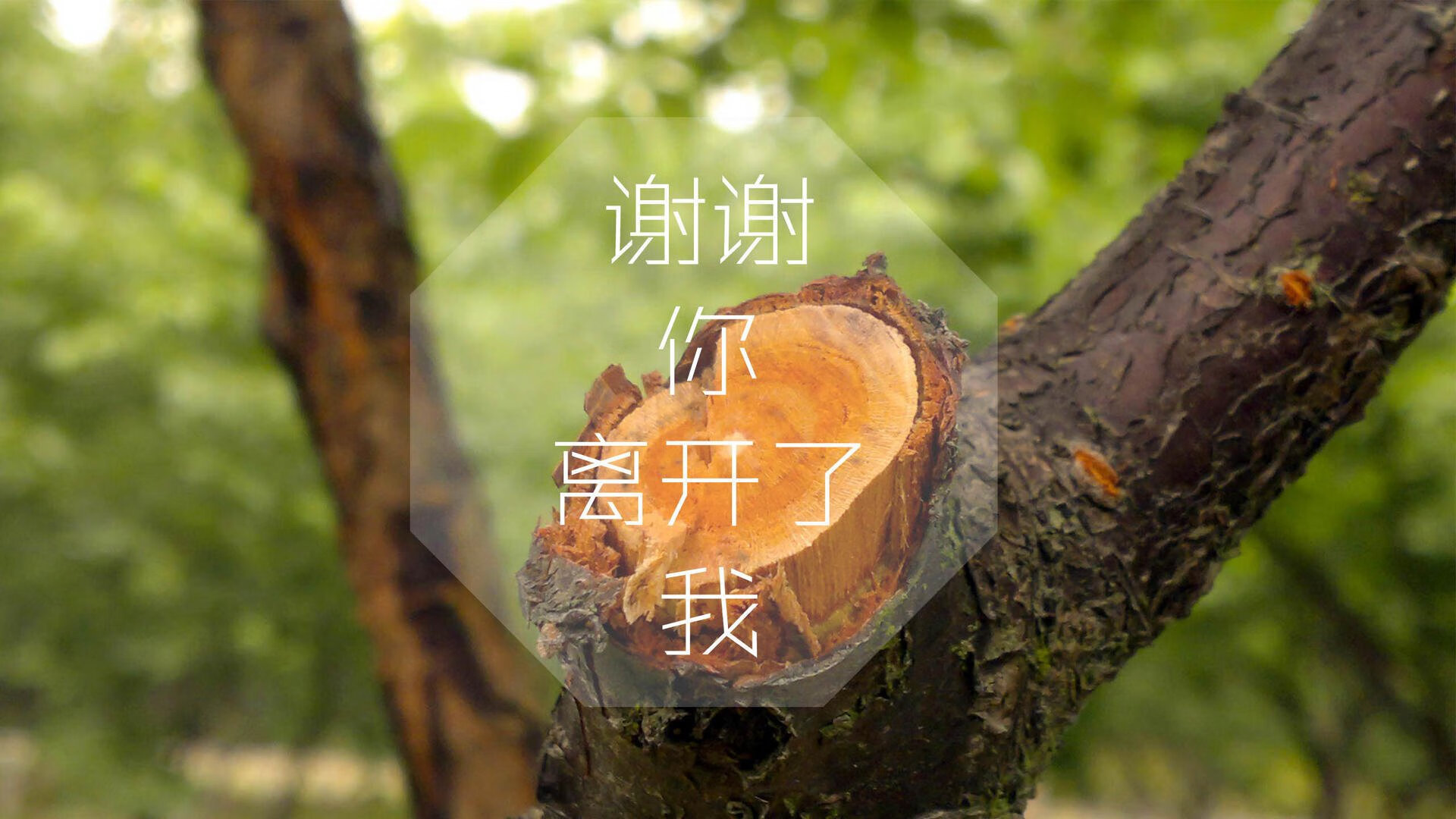 开云入口-中国篮球产业链布局优化,推动体育经济繁荣,中国篮球产业白皮书